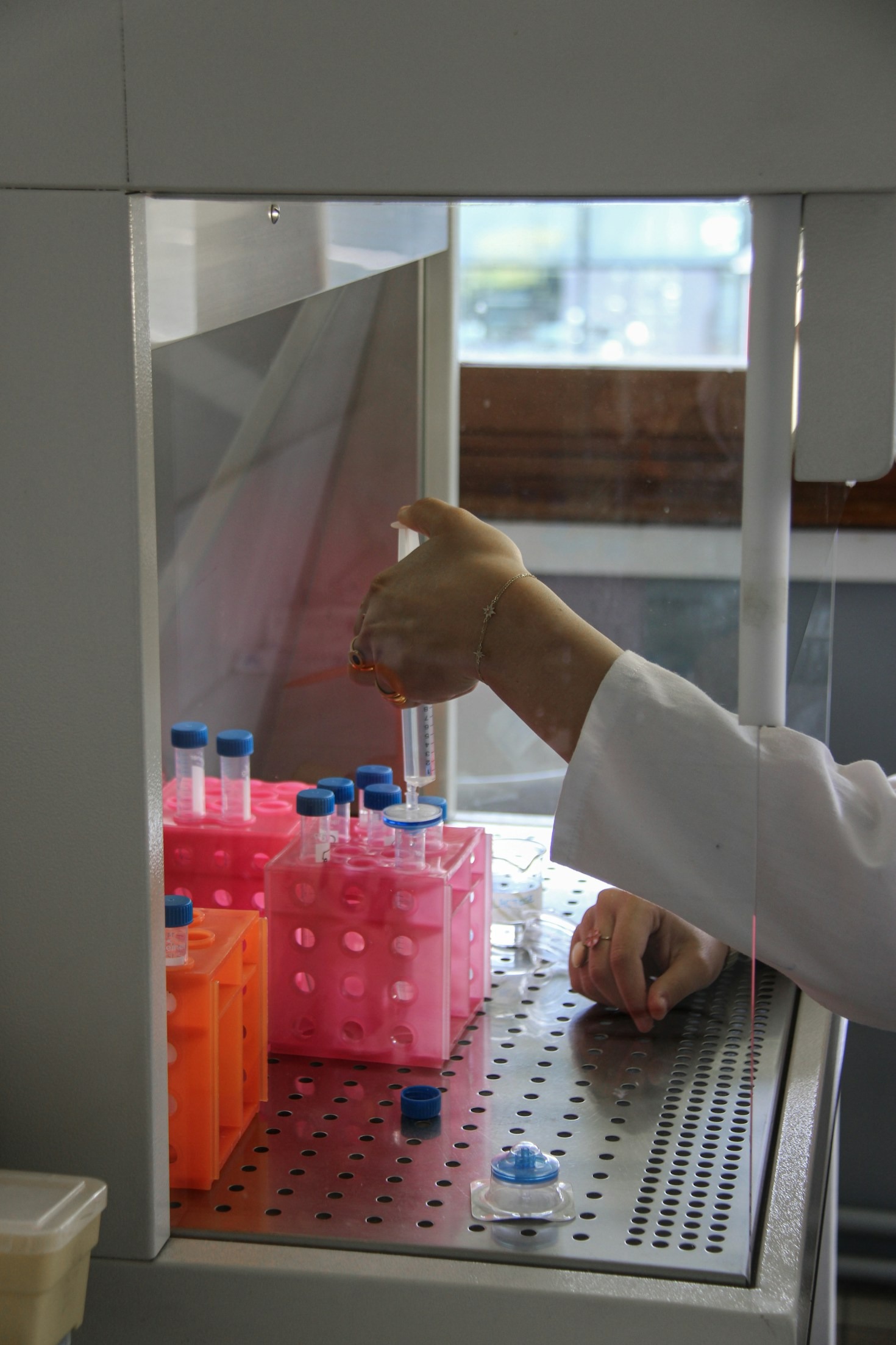 Reis’ Biotech: At the Forefront of Biochemical Analysis