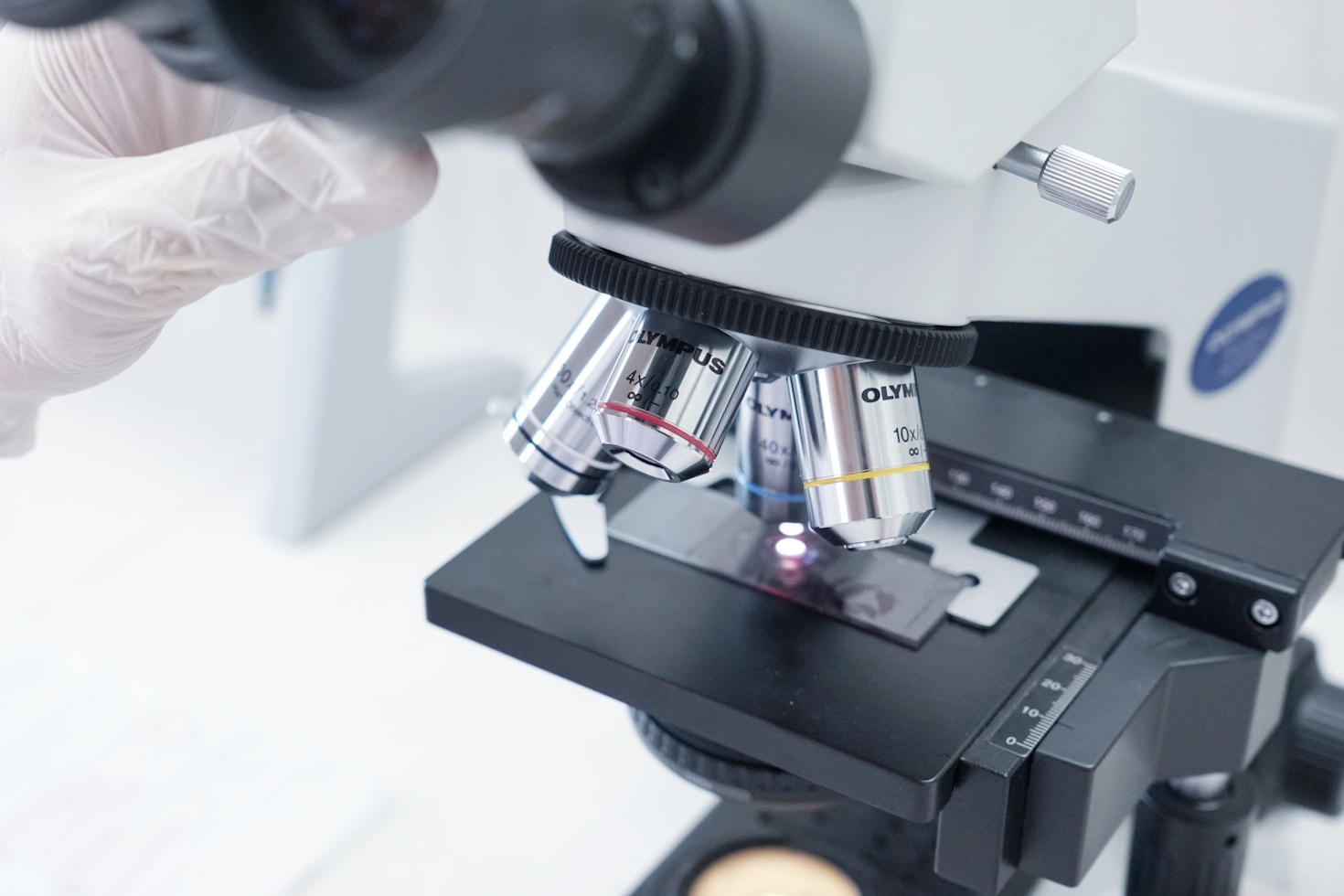 Why Accessibility in Biotech Matters for Global Science